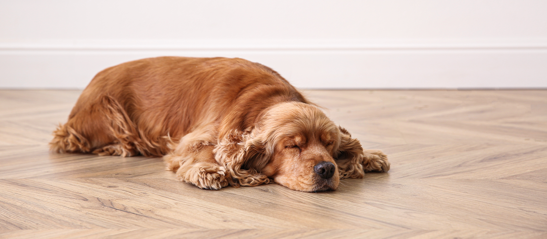 Hudson Grey Pet Friendly Flooring