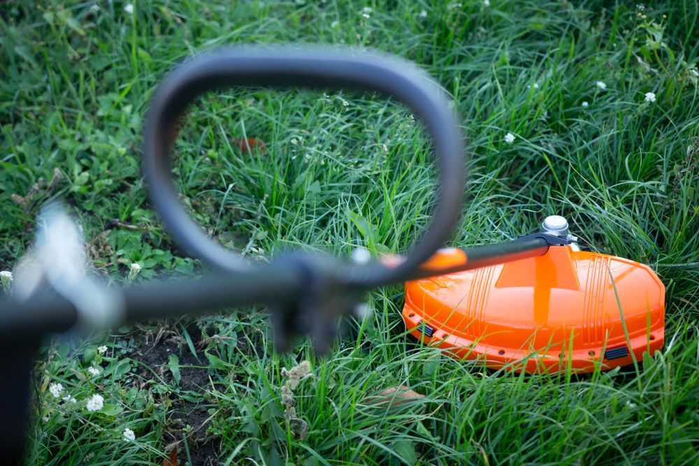 String Trimmer Resting In Grass — Stihl Shop Atherton In Mareeba, QLD