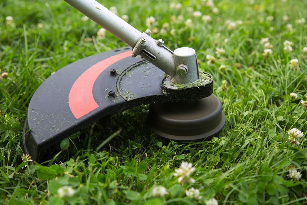 String Trimmer Cutting Grass In A Lawn; Black And Red Guard — Stihl Shop Atherton In Malanda, QLD
