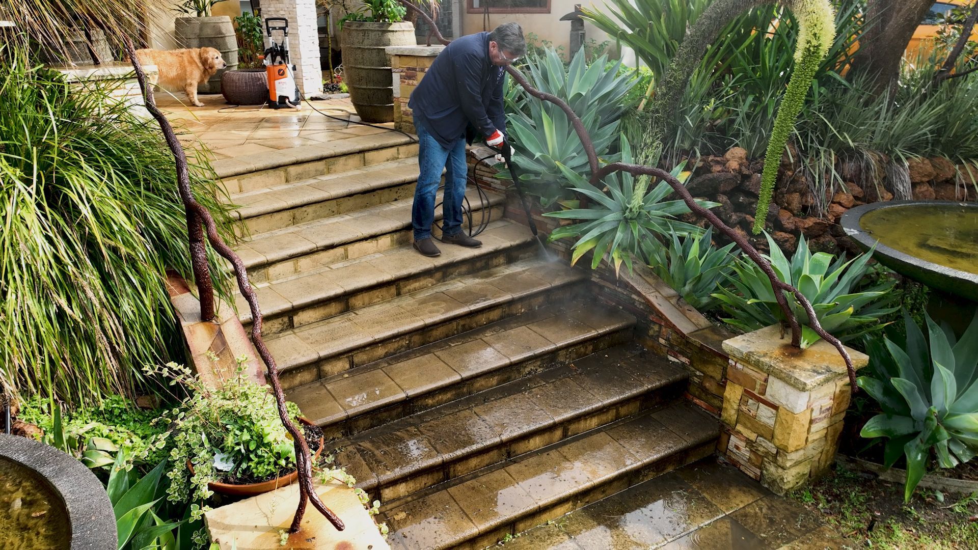 Man Pressure Washing Stone Stairs Outdoors, Surrounded By Lush Plants — Stihl Shop Atherton In Yungaburra, QLD