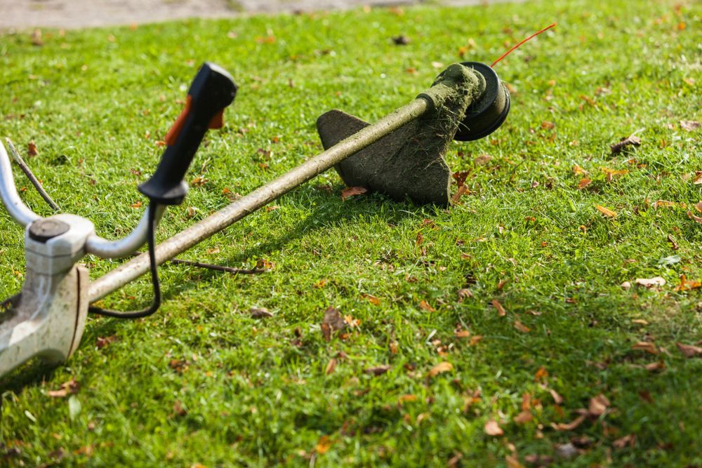 String Trimmer Resting On Green Grass — Stihl Shop Atherton In Atherton, QLD