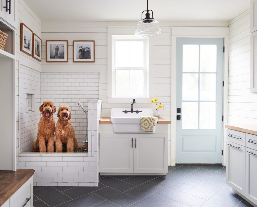 Pet friendly mudroom, Ohio