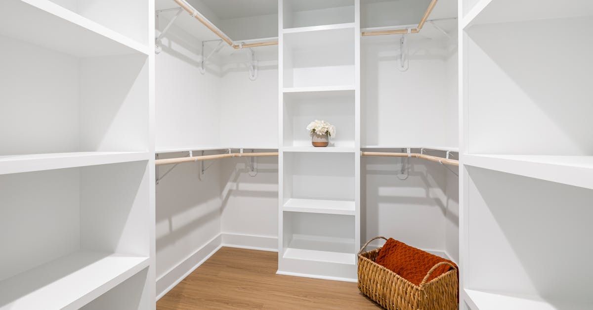 Custom walk-in closet in Linking County OH