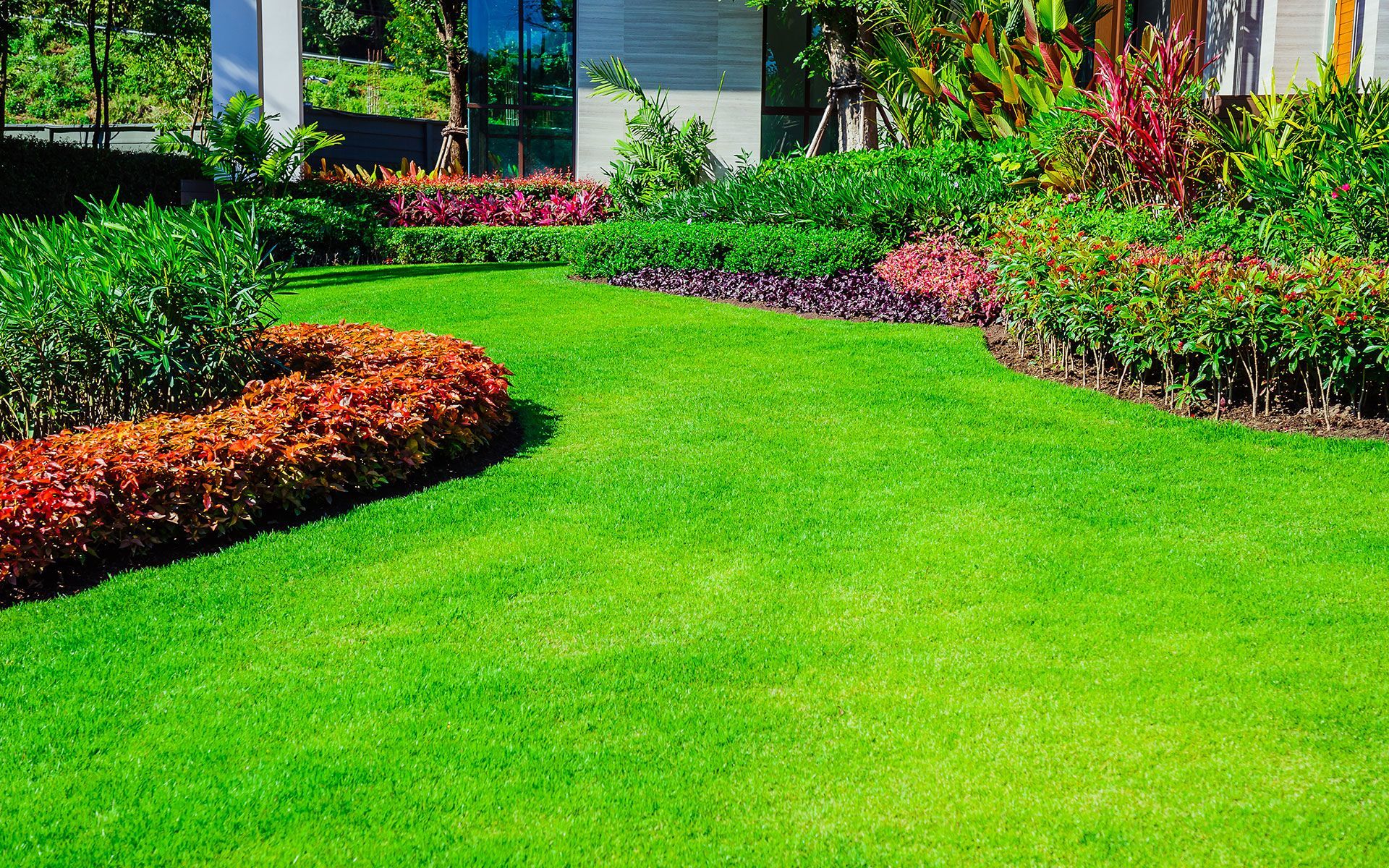 A lush green lawn with flowers and bushes in front of a house.