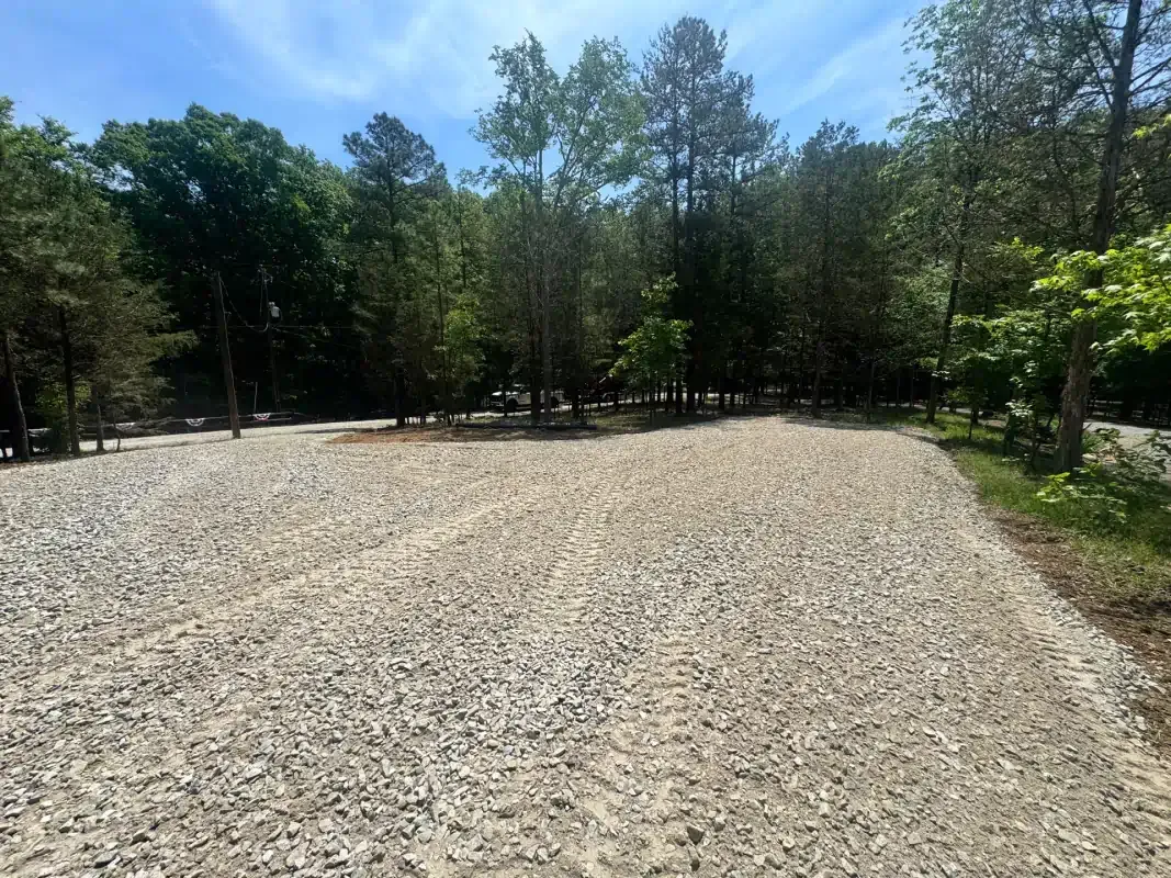A gravel clearing leads into a dense forest of pine and deciduous trees under a bright, clear blue sky.
