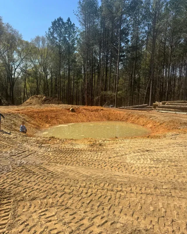A small, muddy pond sits in a construction clearing surrounded by tall pine trees, with tire tracks in the foreground.
