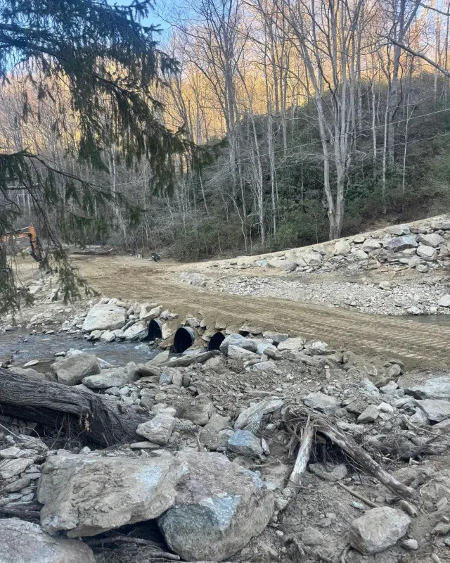 Three black bears standing in a rocky creek bed near a dirt road in a wooded area.