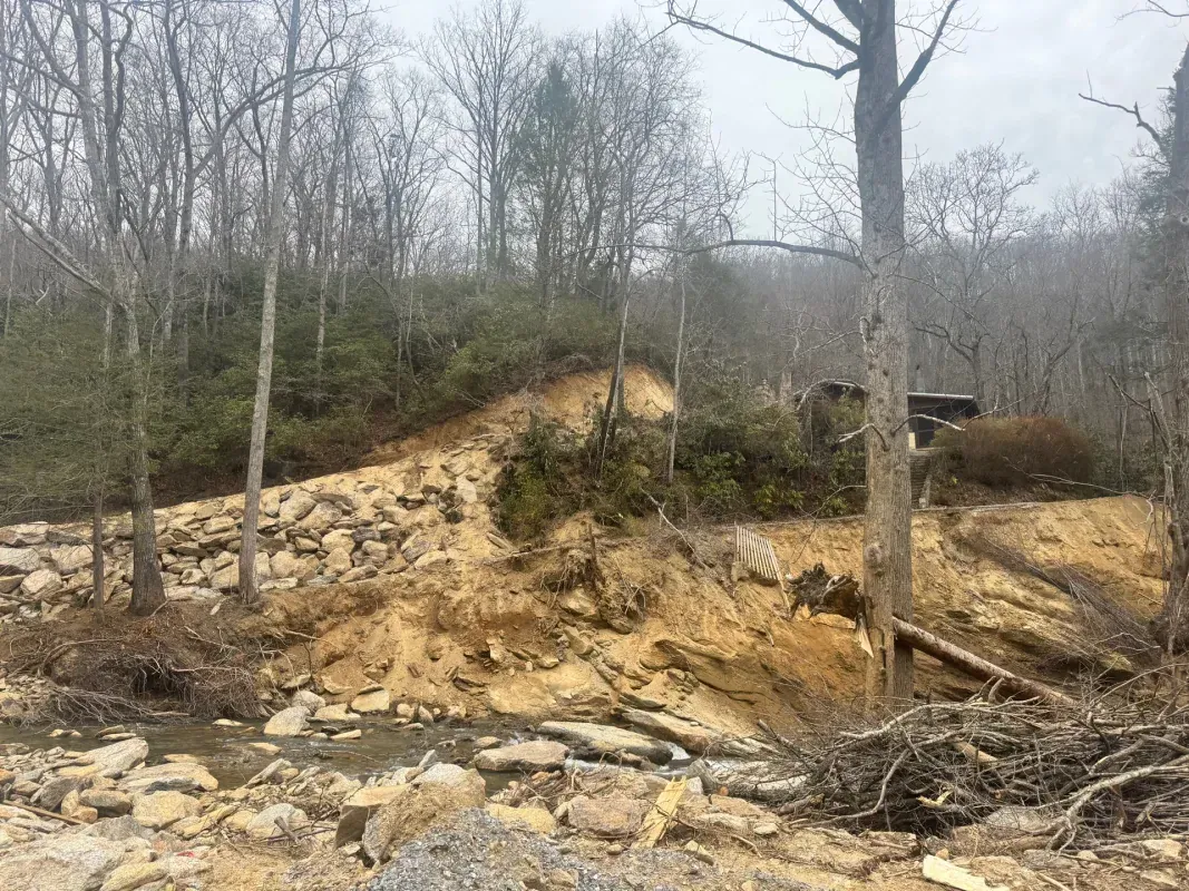 A steep, eroded riverbank with exposed yellow soil, fallen trees, and rocky debris beside a shallow stream in a forest.