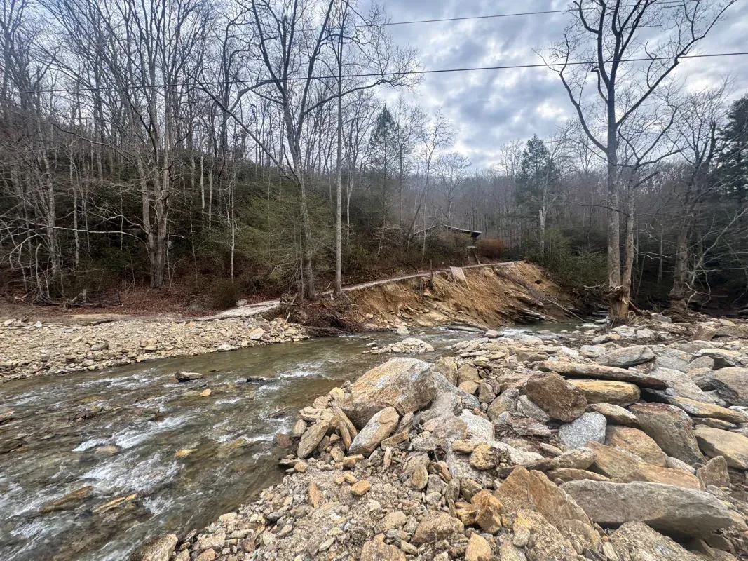 A rocky mountain stream flows through a forest with a partially eroded dirt bank on an overcast day.