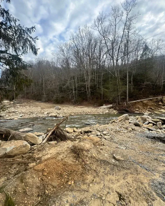 A rocky riverbed leading to a flowing stream in front of a dense, leafless forest under a cloudy, bright sky.