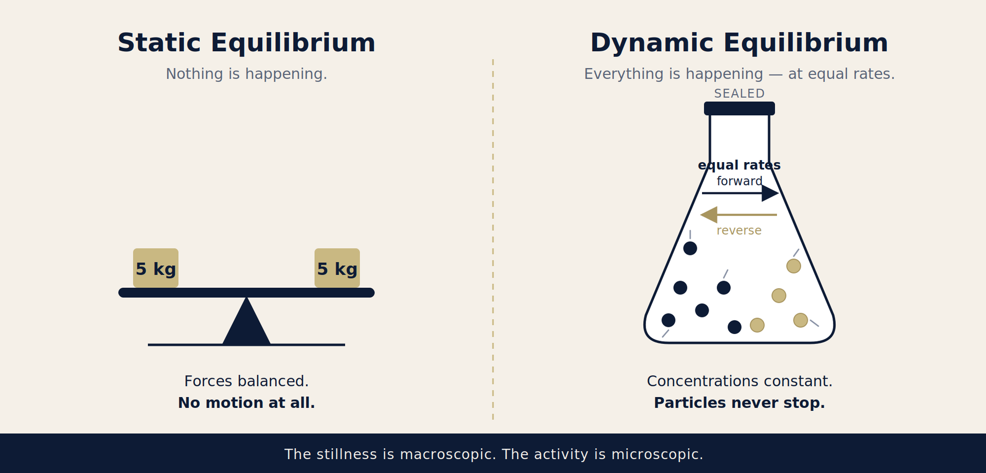 Static vs dynamic equilibrium infographic: balanced weights and a flask with moving particles