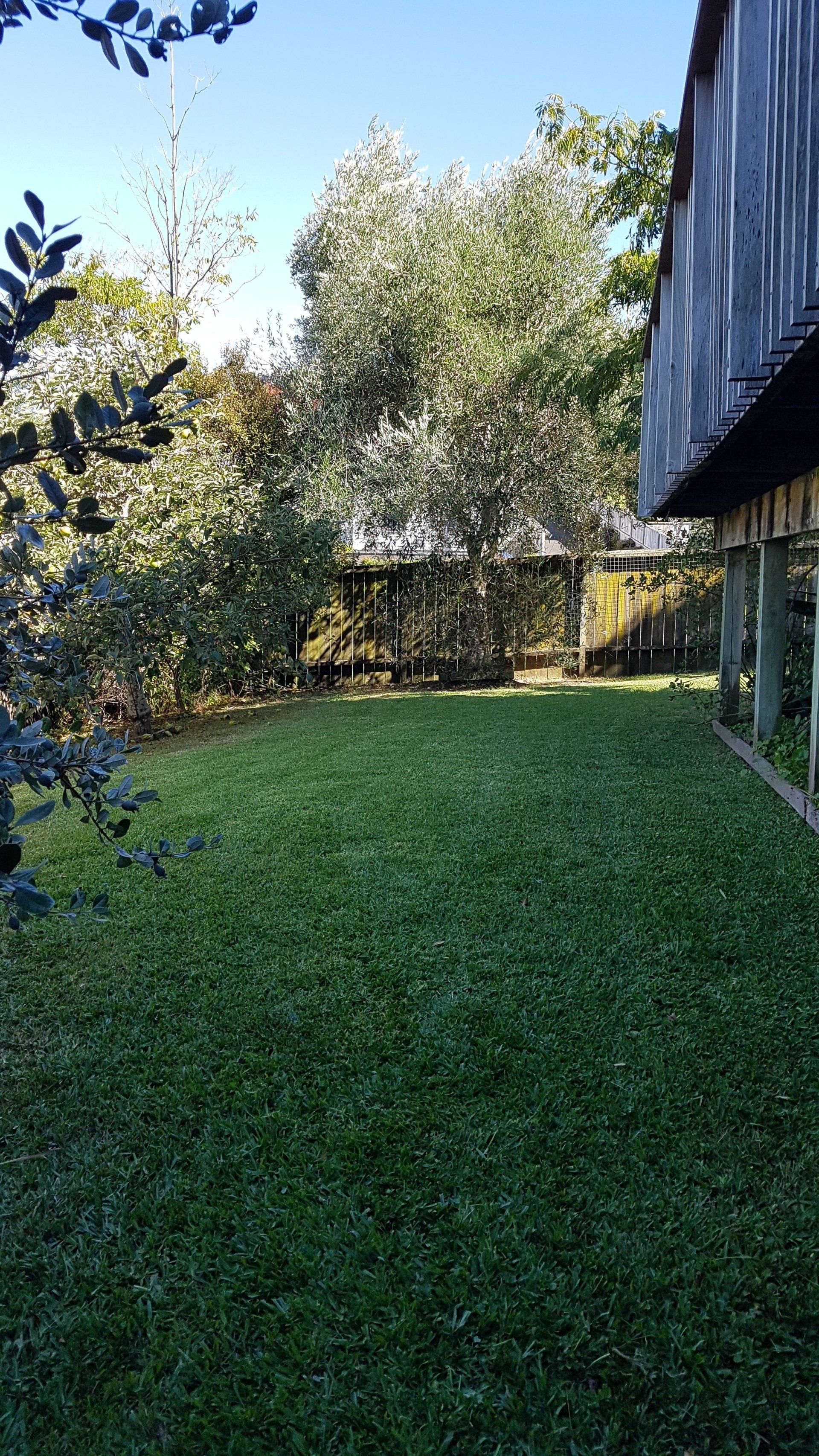 Lawn Mowing