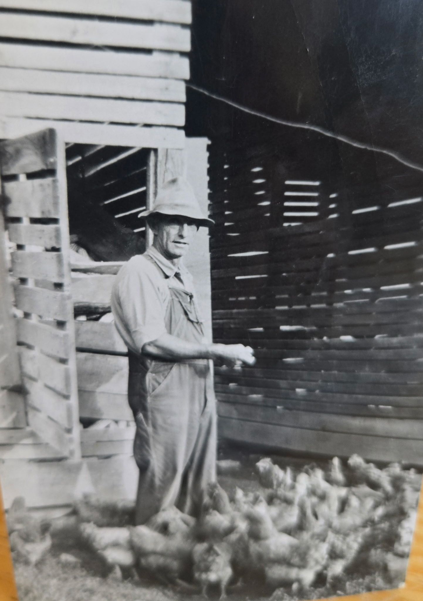 Man in overalls feeding chicks in a wooden barn doorway.