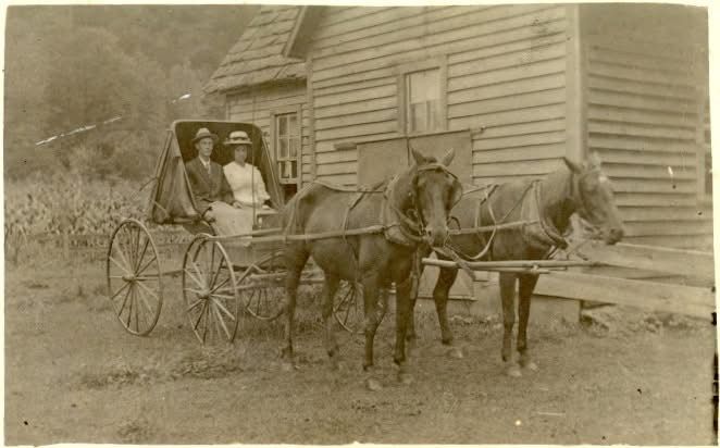 Two people in a horse-drawn carriage in front of a wooden house.