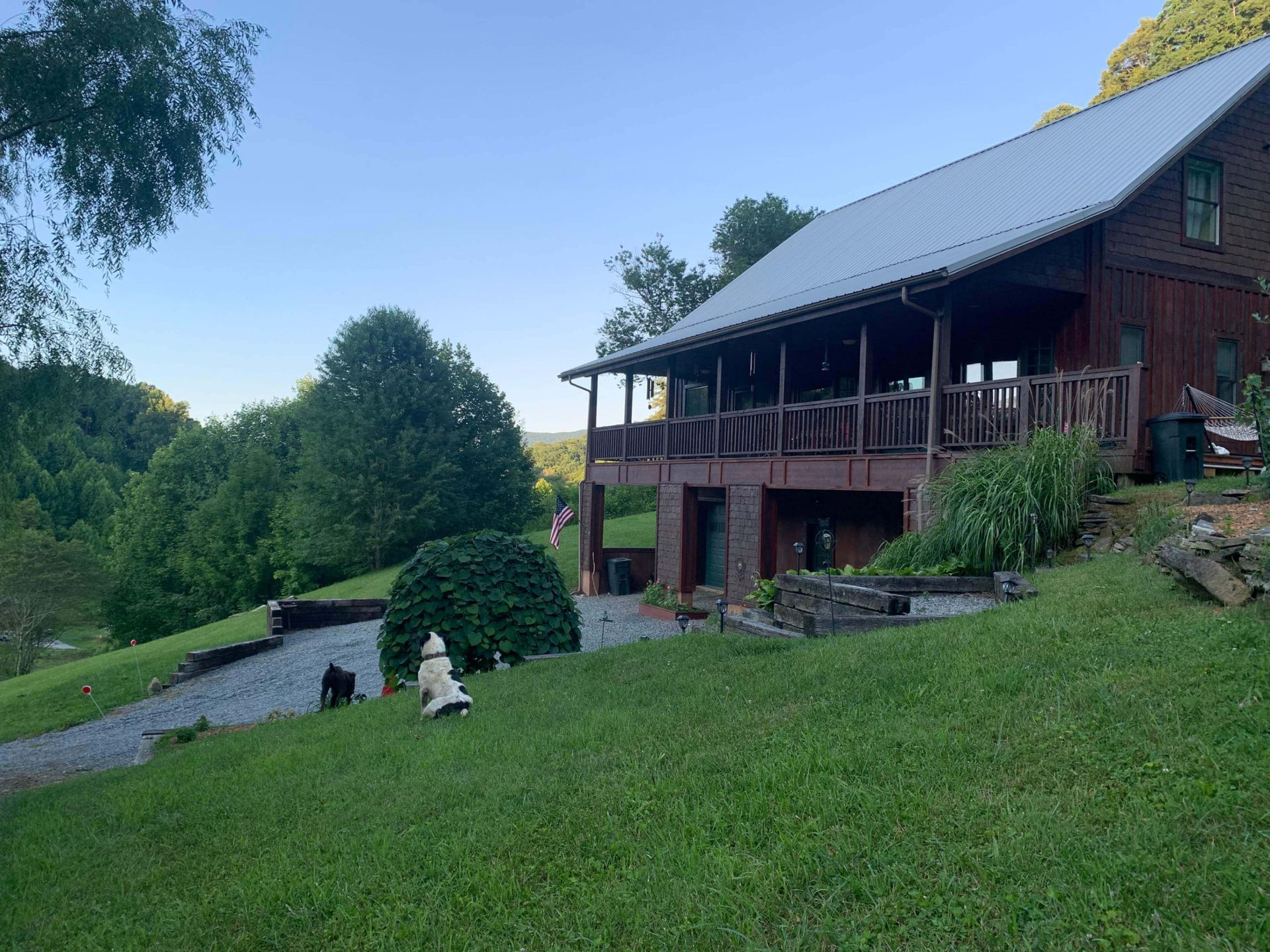 Cabin with porch, grassy hill, two dogs in yard, trees in background, under blue sky.