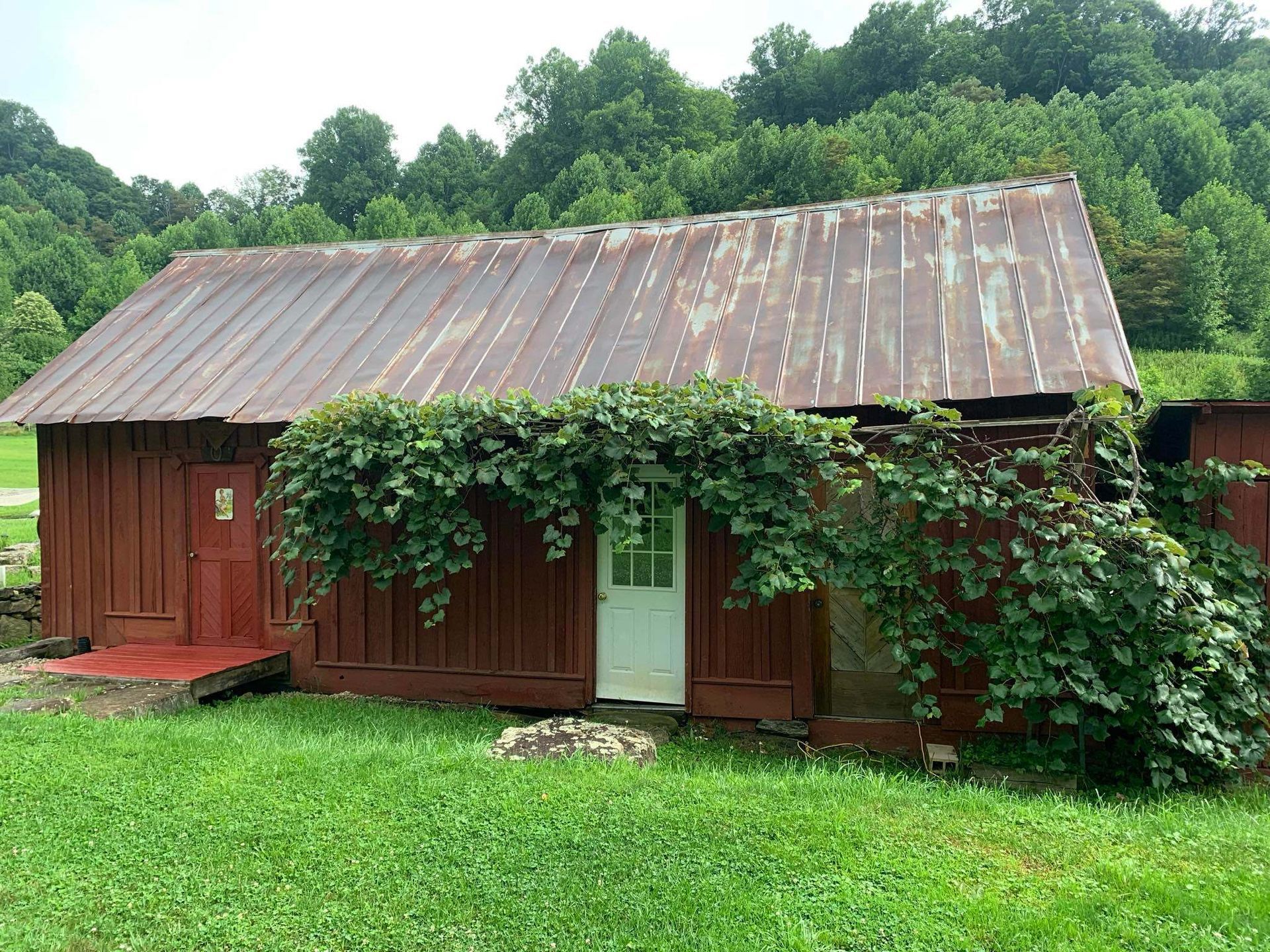 Red wooden shed with a rusty roof, door, and vine growing around it, set in grassy field.