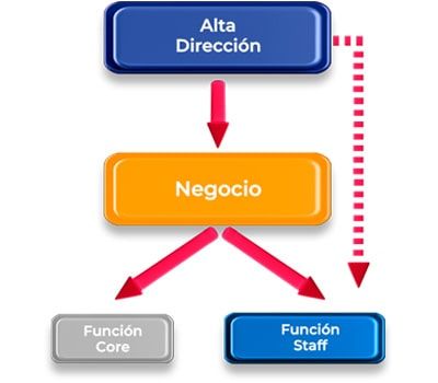Un diagrama en español muestra un núcleo de función y un pentagrama de función