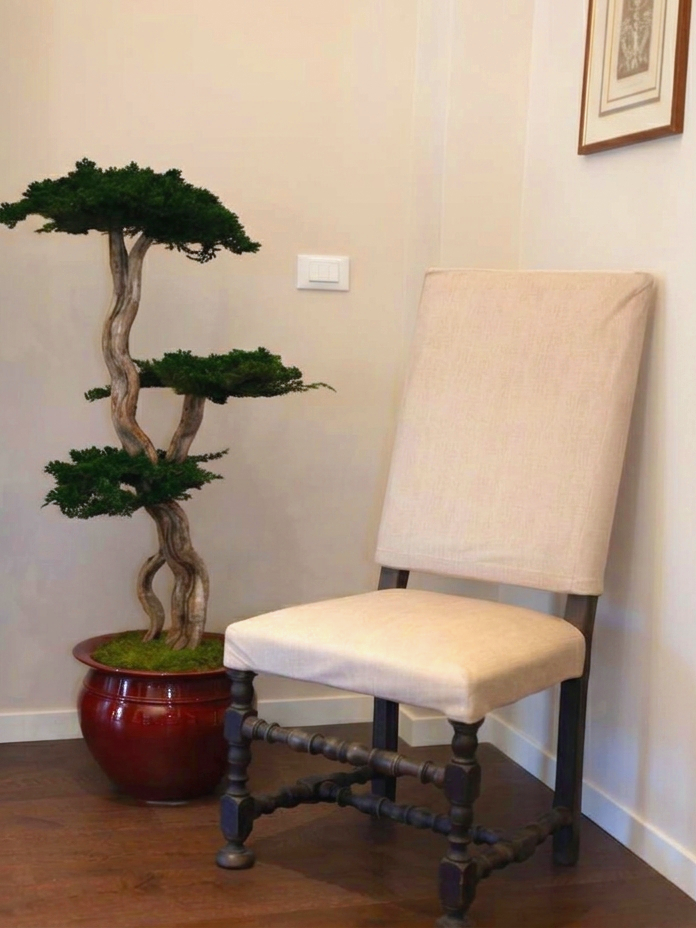 Una poltrona imbottita beige accanto a un bonsai in vaso in un angolo della stanza.