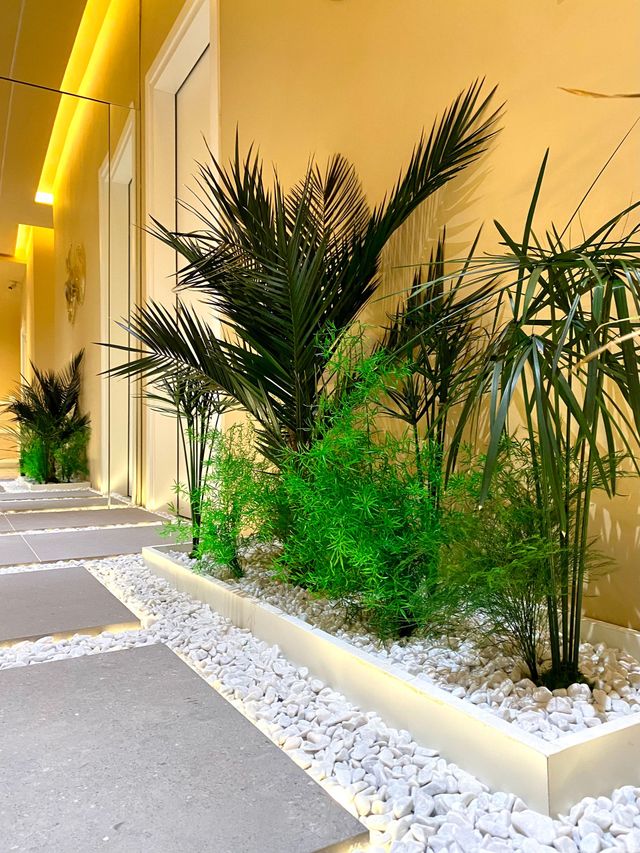Passerella di un edificio moderno con fioriera in ghiaia bianca e alte piante verdi simili a palme lungo un muro giallo.