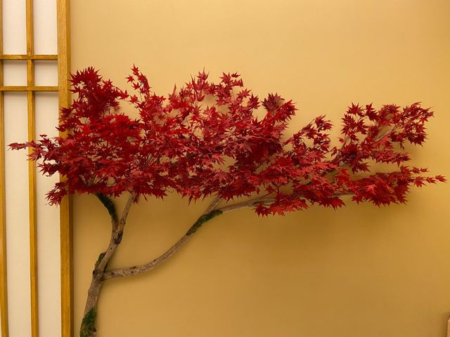Ramo di albero dalle foglie rosse contro una parete beige accanto a un telaio di finestra in legno.