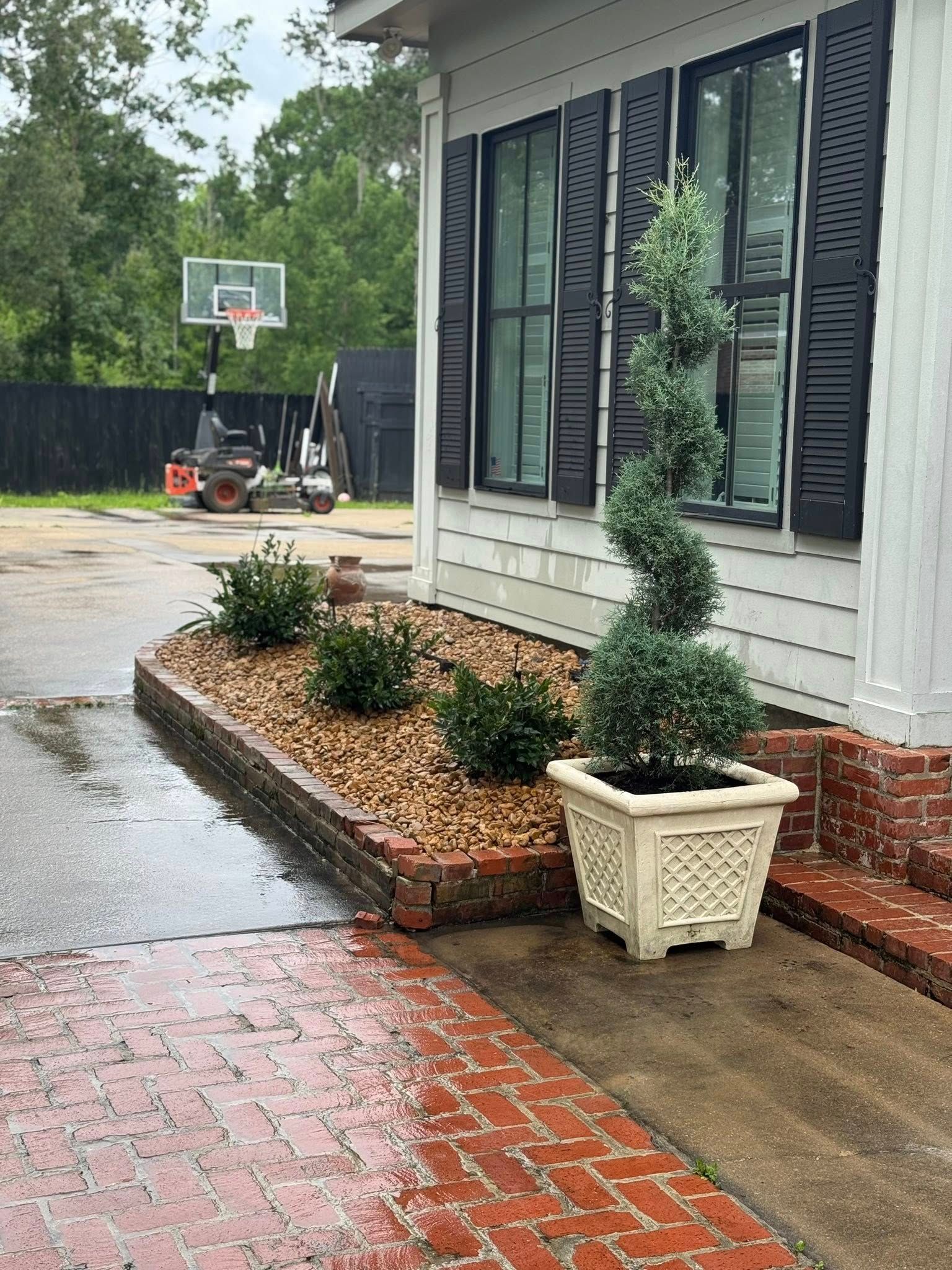 Brick walkway and garden bed with spiral topiary and shrubs next to a house with black shutters.