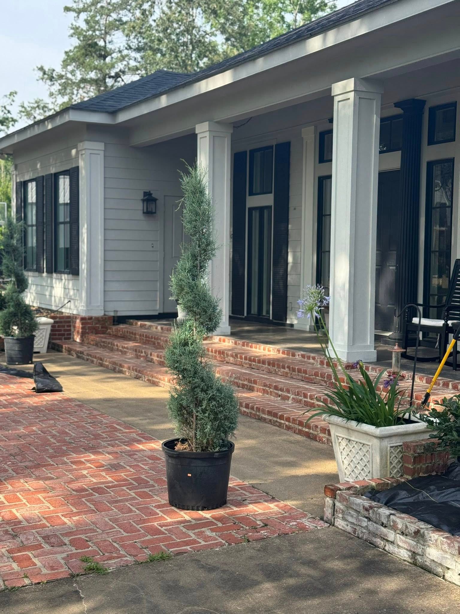 A spiral topiary in a black pot sits on a red brick patio, in front of a white house with a porch.