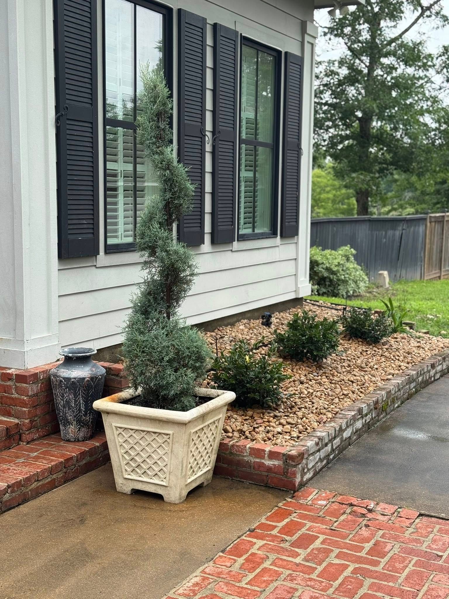 Twisted juniper topiary in cream pot beside a white house with black shutters.