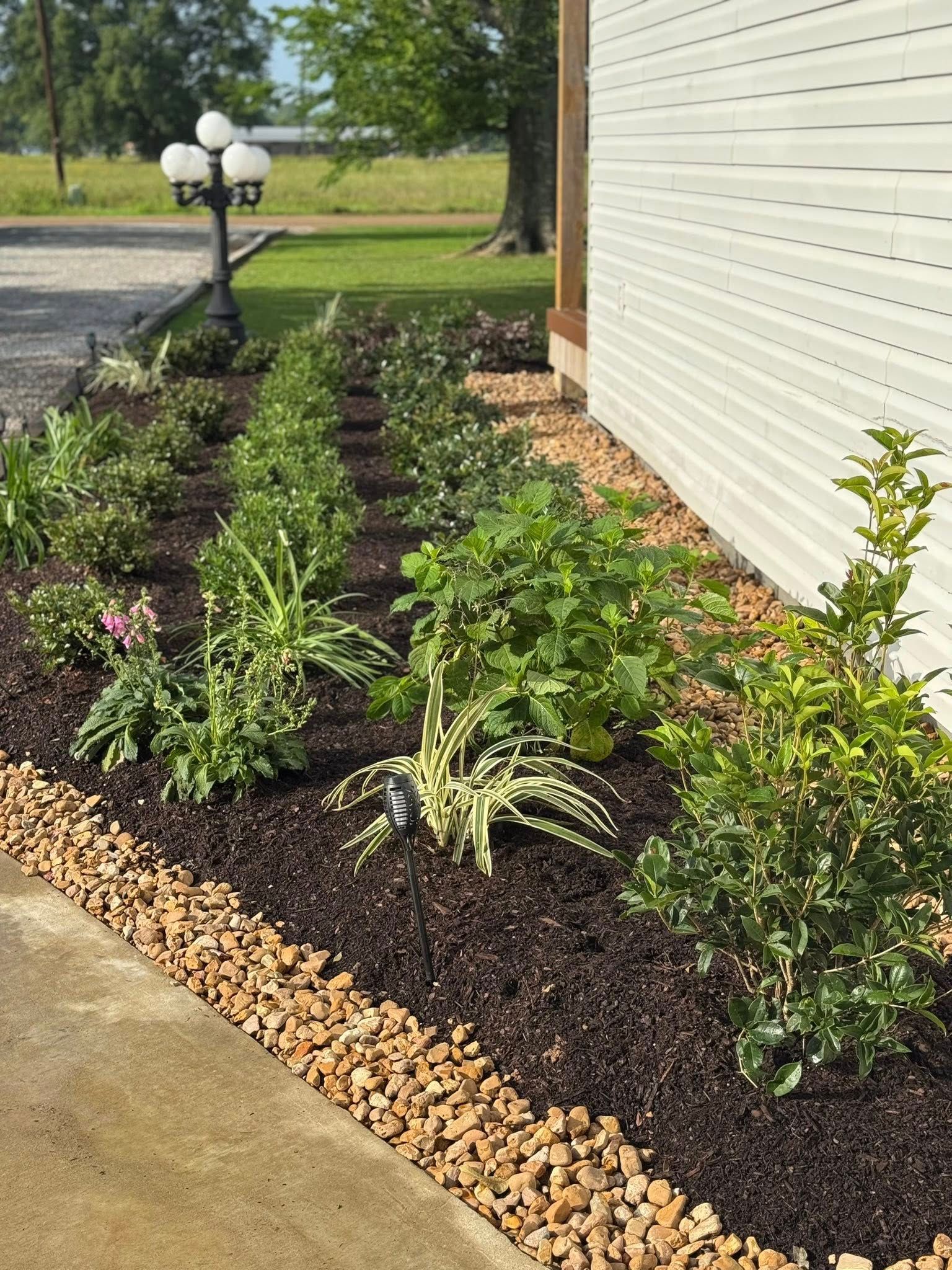 A landscaped flower bed with various green plants and brown mulch, edged with small tan stones, next to a white house.