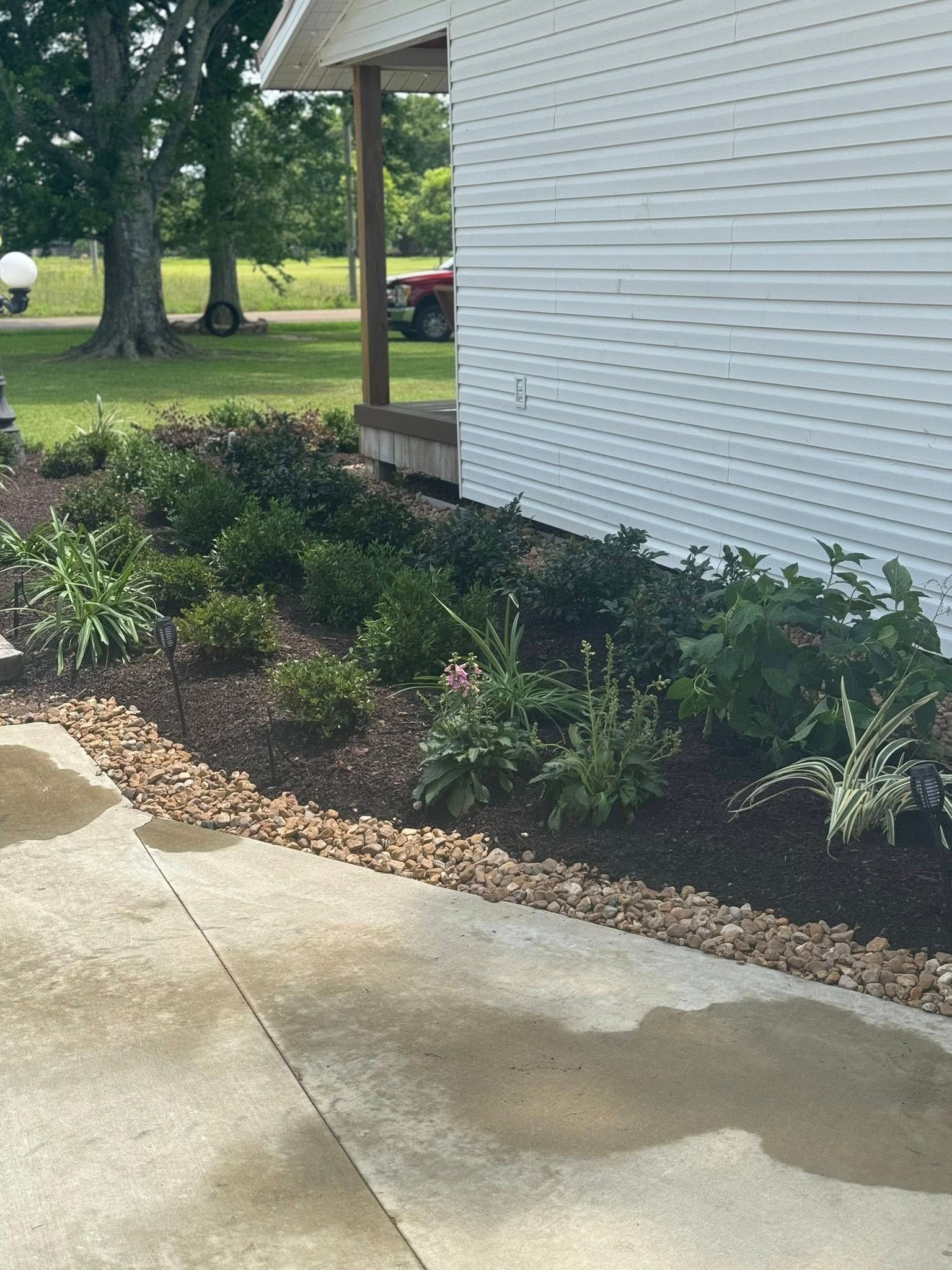 Landscaped flower bed with mulch, rocks, and various green plants next to a white house.