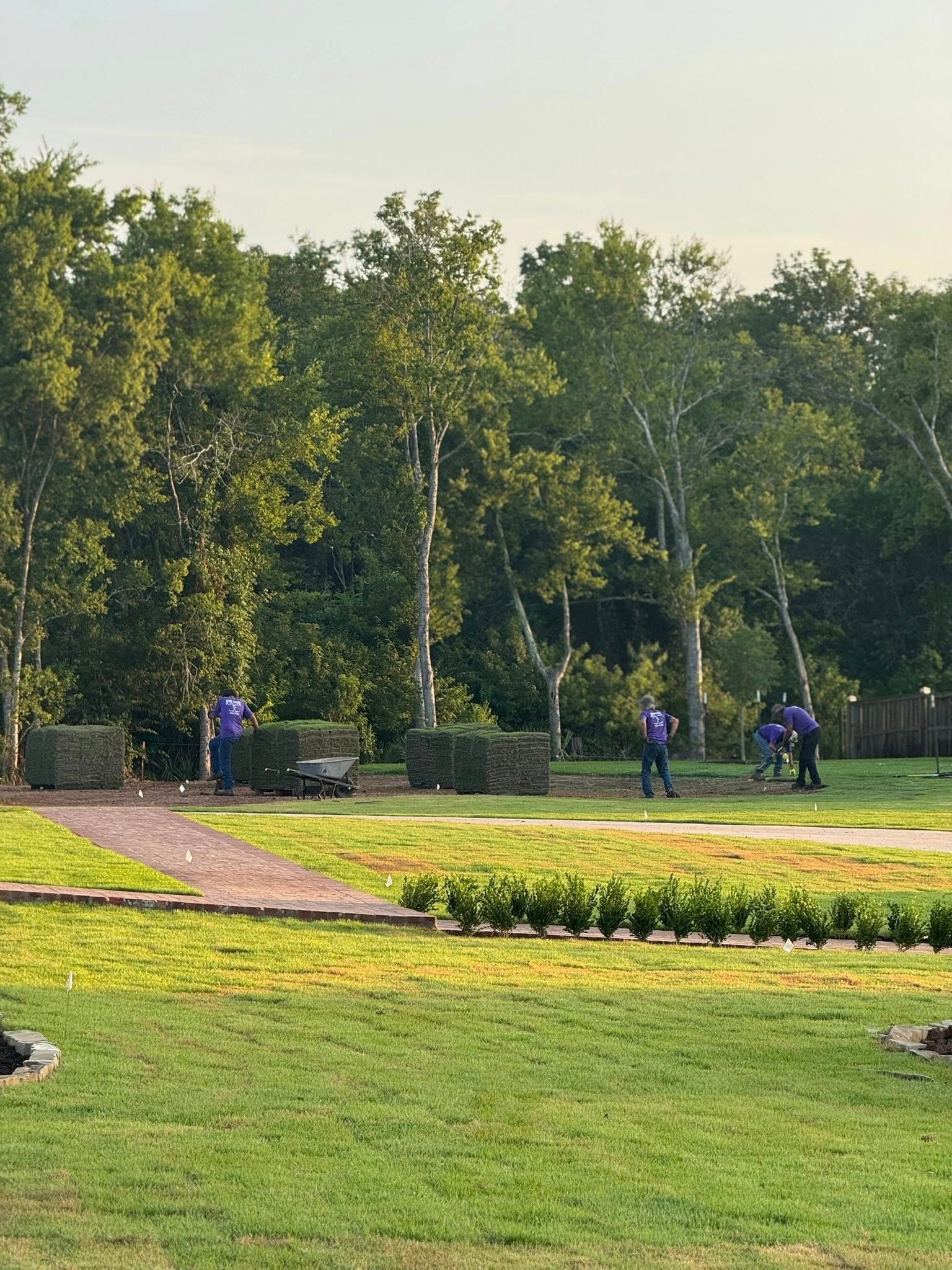 People playing a game in a grassy park, surrounded by trees.