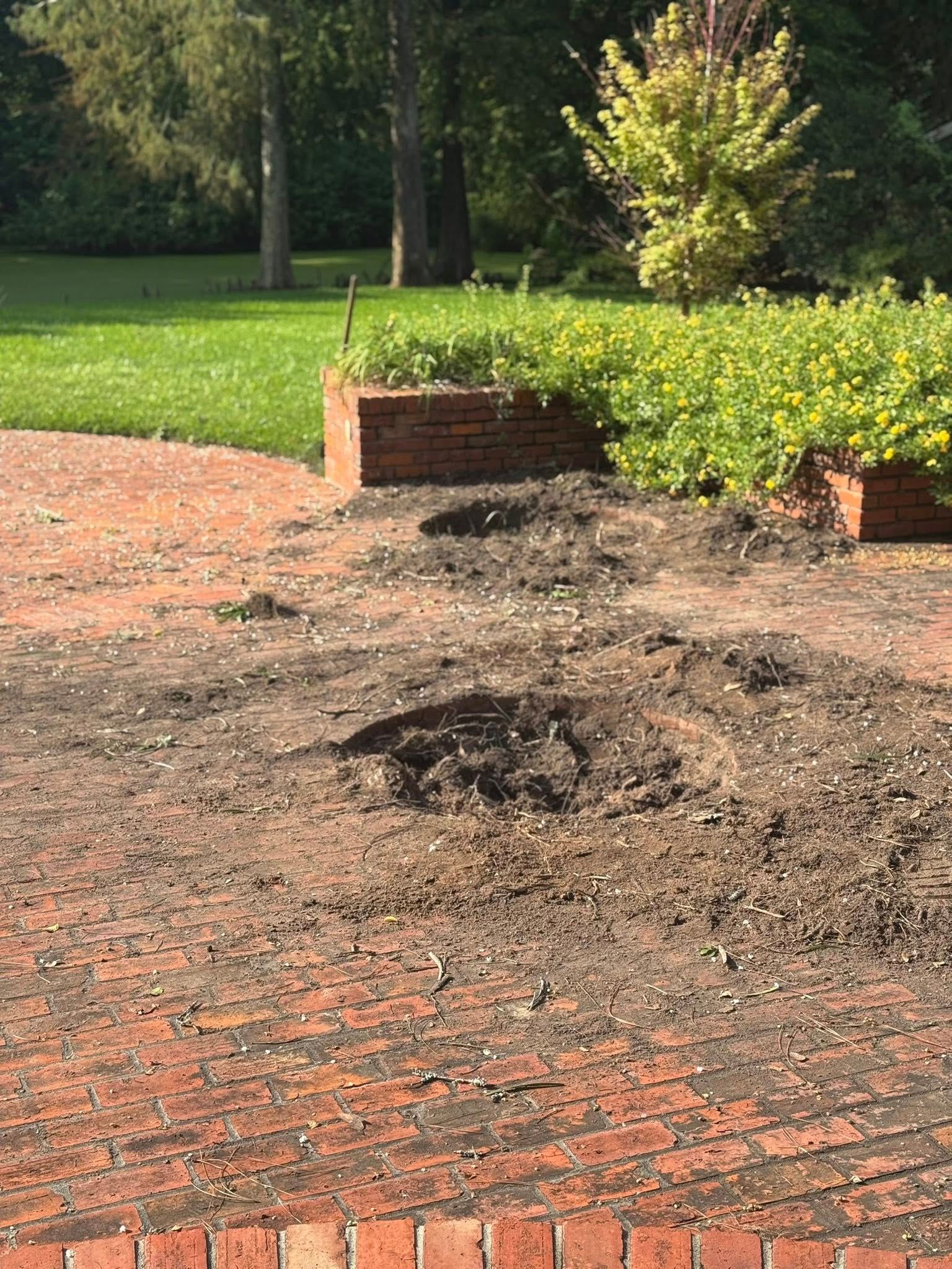 A brick patio with dark soil in the center, a brick planter, and a grassy area in the background.