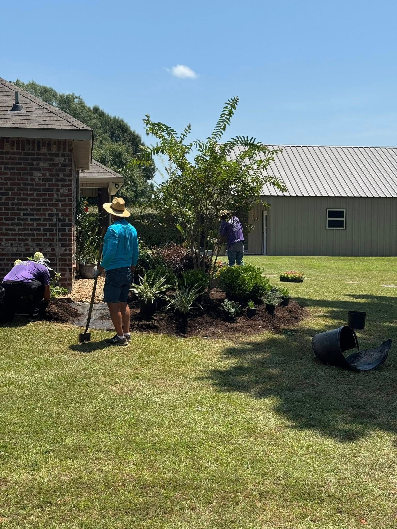 People gardening in a sunny yard with plants, mulch, and a house.