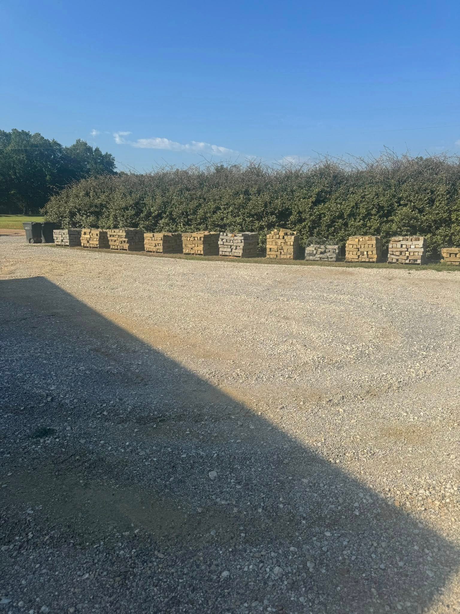 Beehives in a row on gravel, with a hedge in the background and a blue sky overhead.