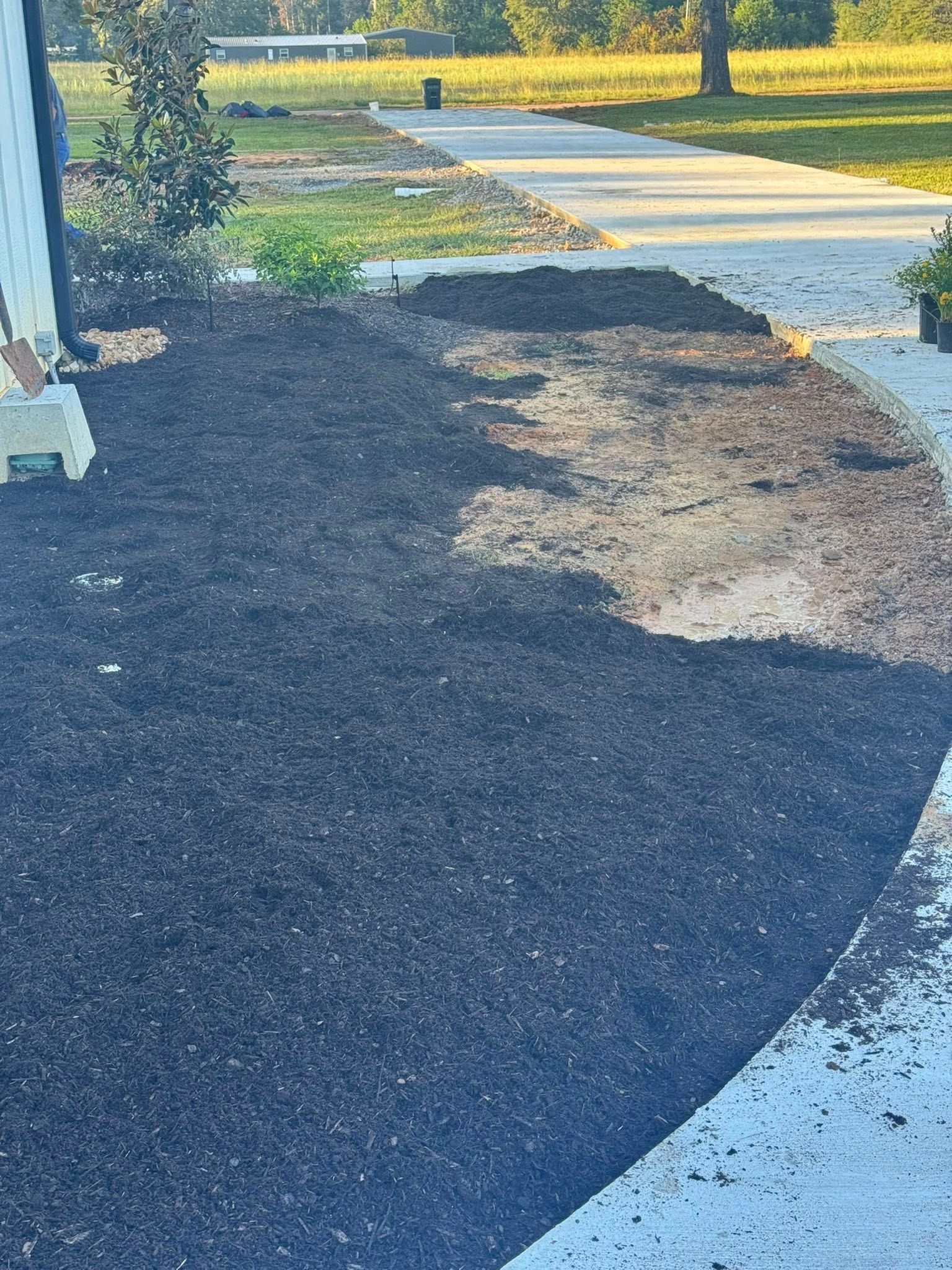 Freshly mulched front yard next to a concrete walkway.
