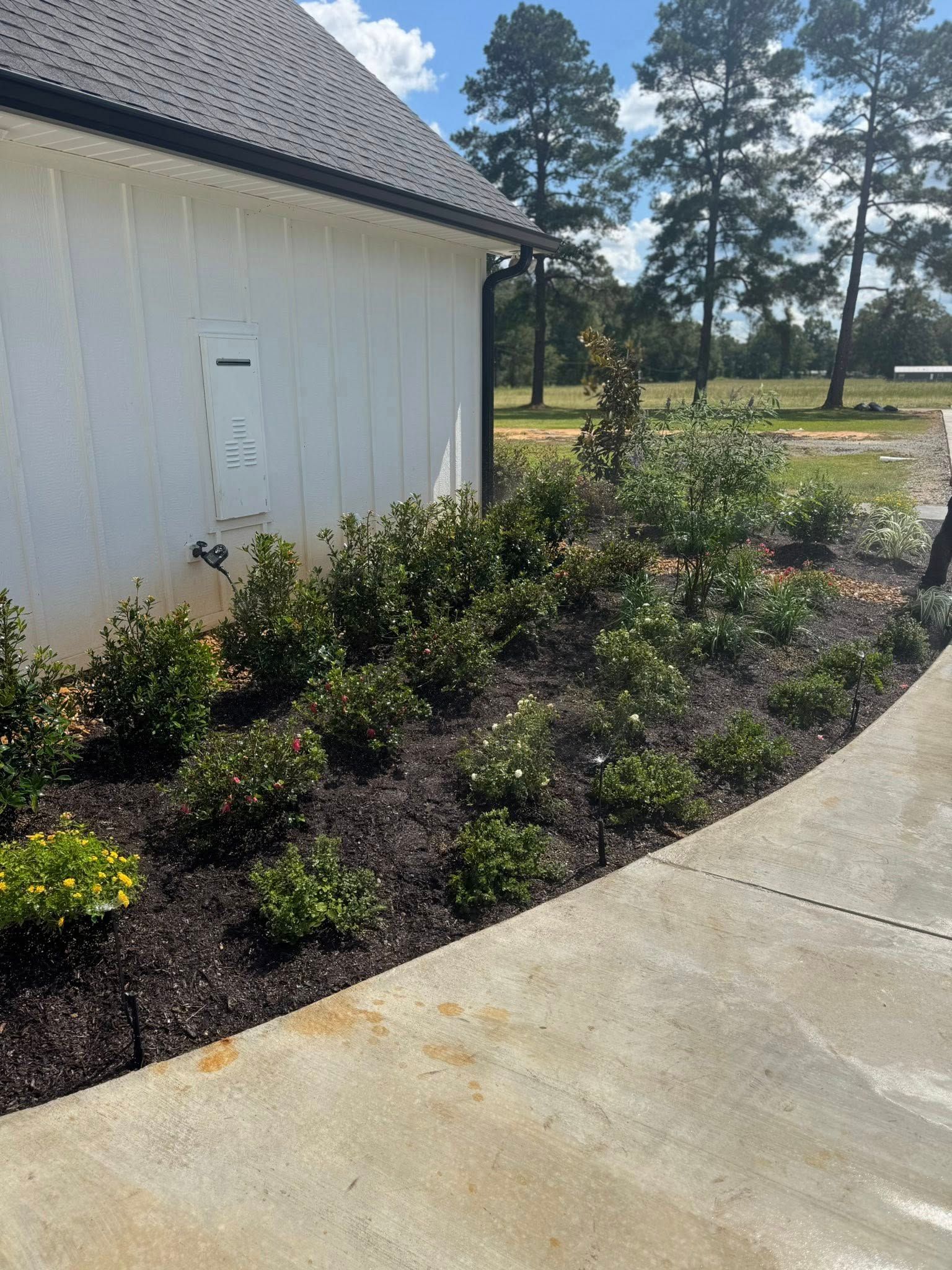 White building side with flowerbed along a concrete pathway under a sunny sky.