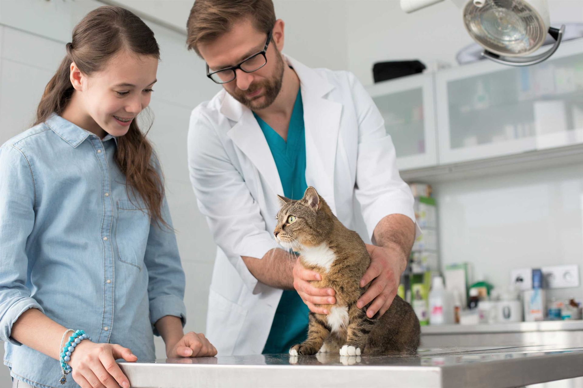 A veterinarian and a girl are looking at her cat on the table in the veterinary animal hospital. A veterinarian and a girl are looking at her cat on the table in the veterinary animal hospital.