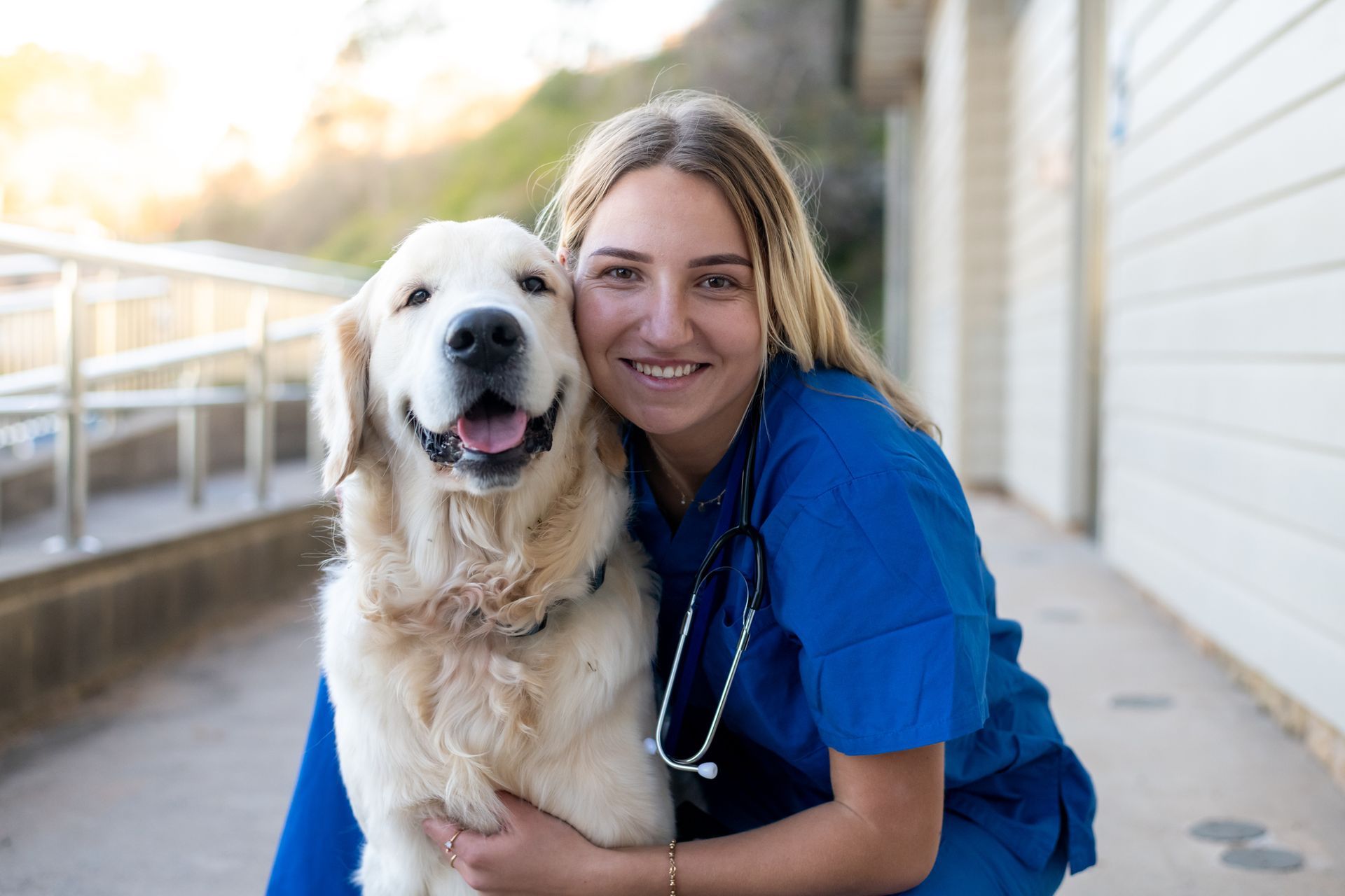 Female Vet Hugs Golden Retriever. 
