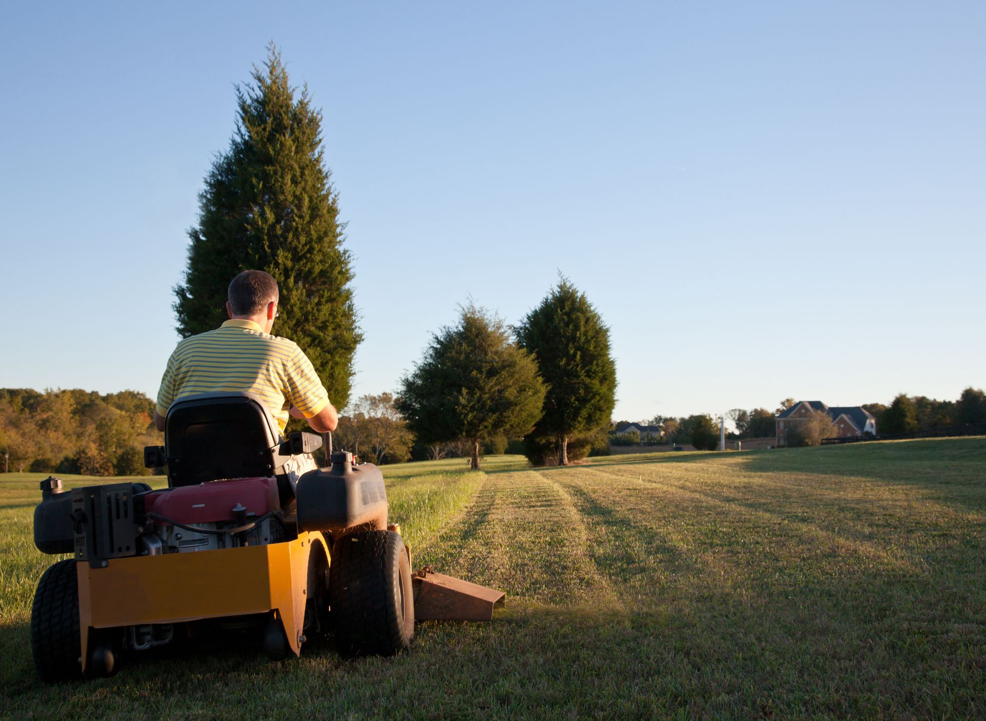 Gardener mowing the lawn