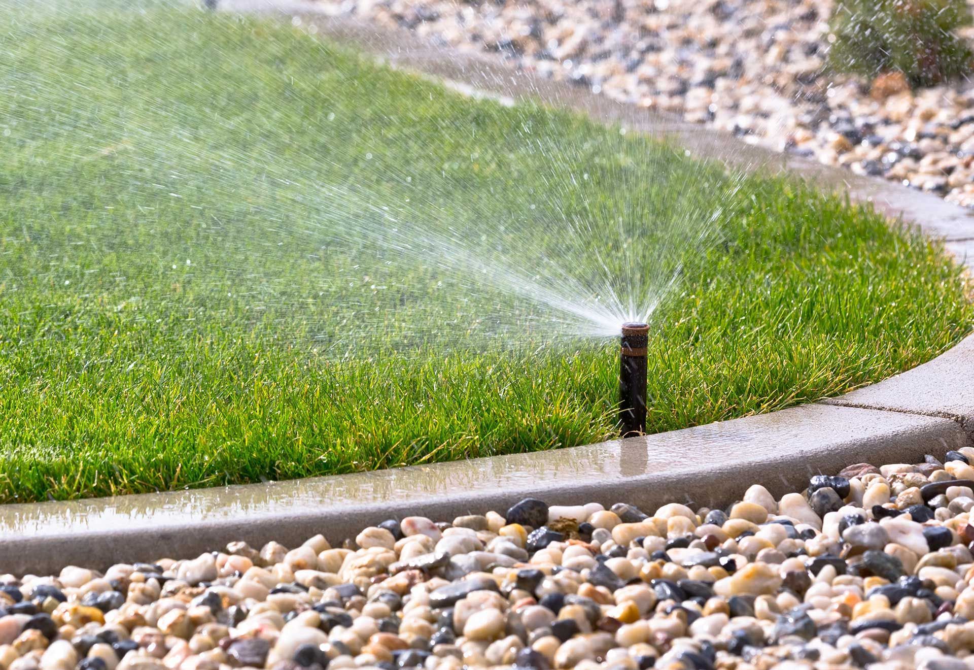 Sprinklers watering grass