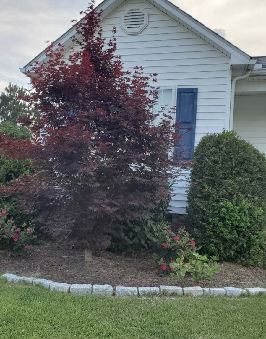 landscape services 4