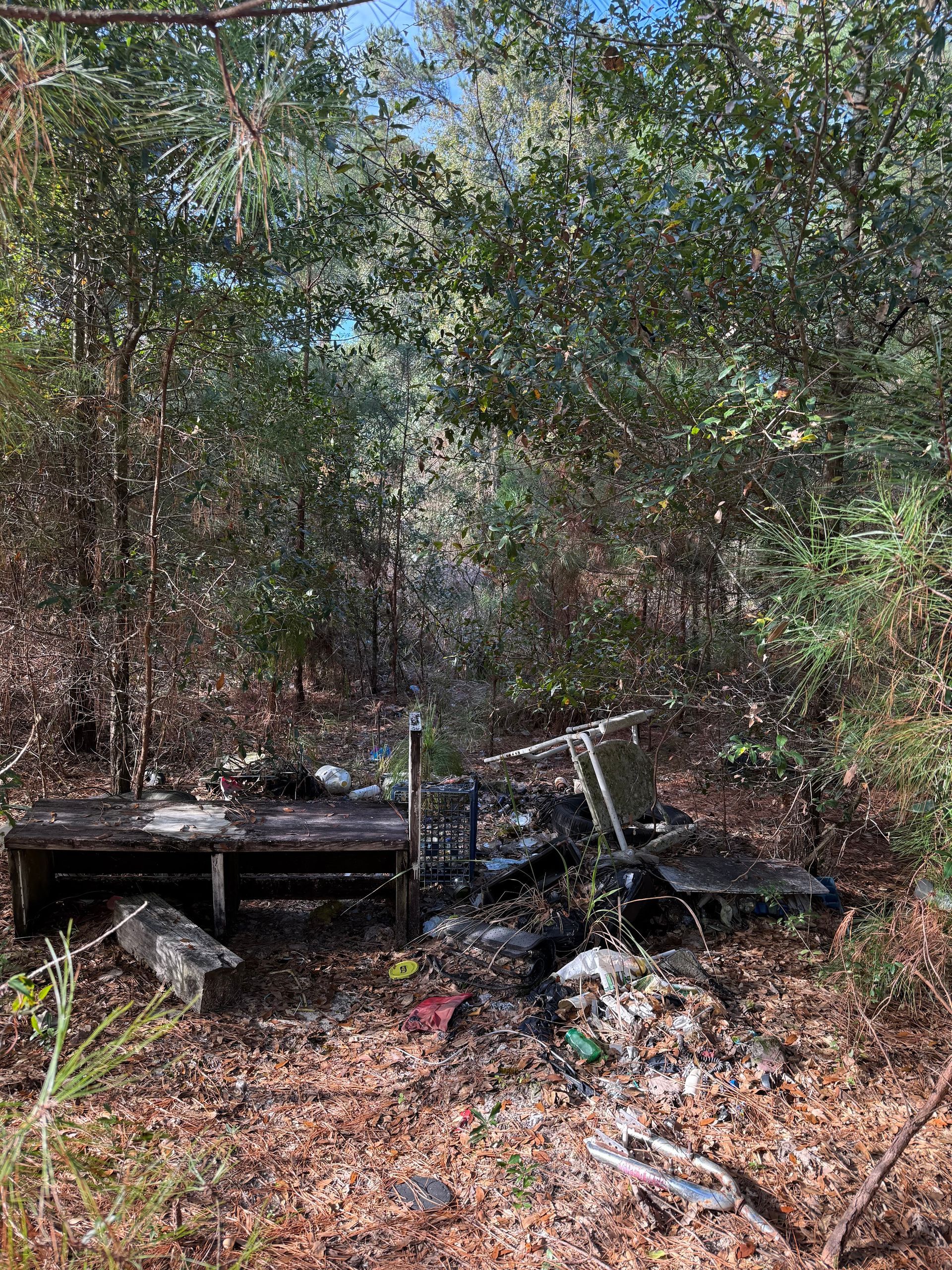 Overgrown wooded area with a dark bench or platform and scattered debris on the ground