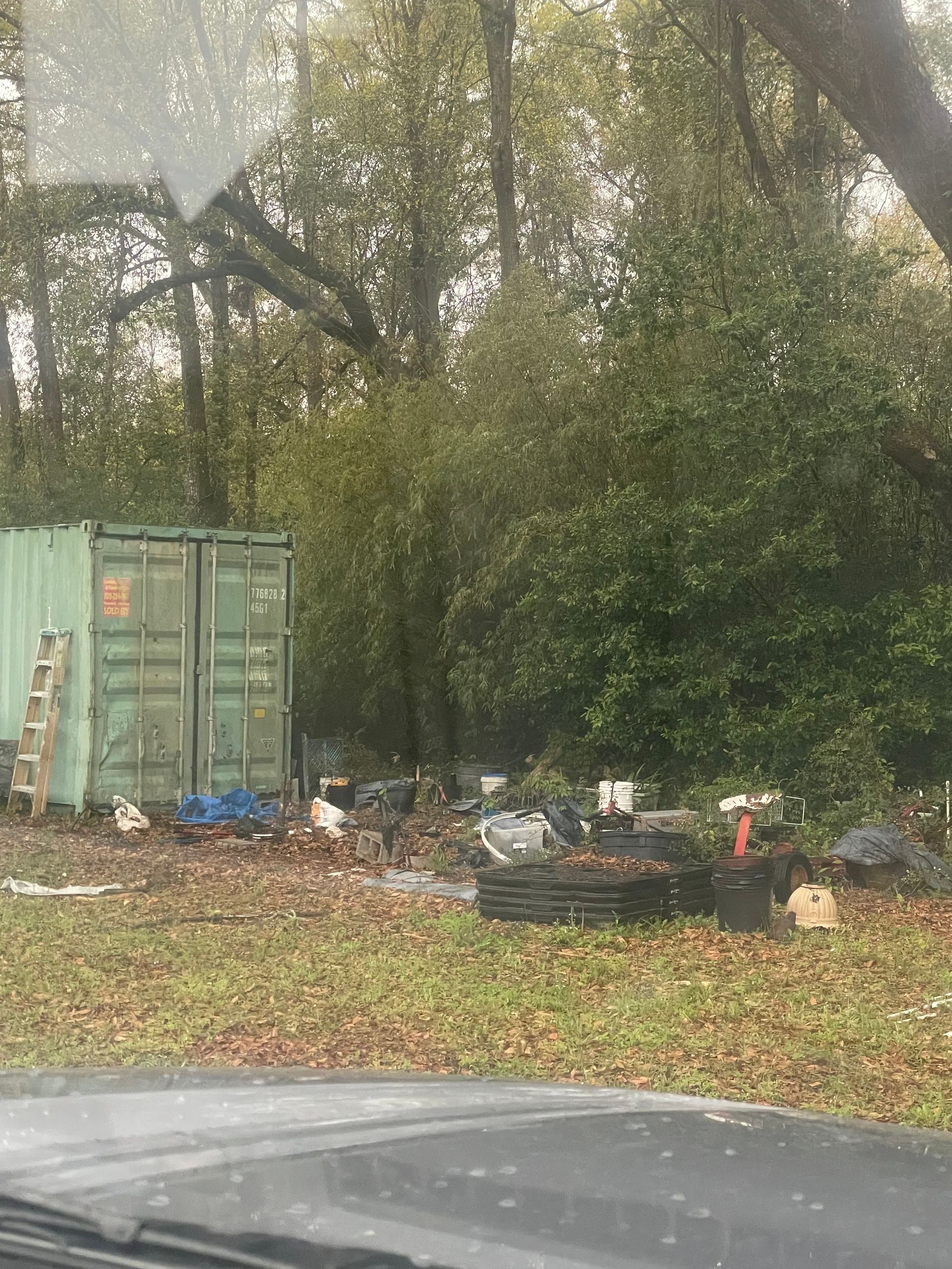 Overgrown roadside with a green shipping container, scattered trash, and parked car in the foreground.