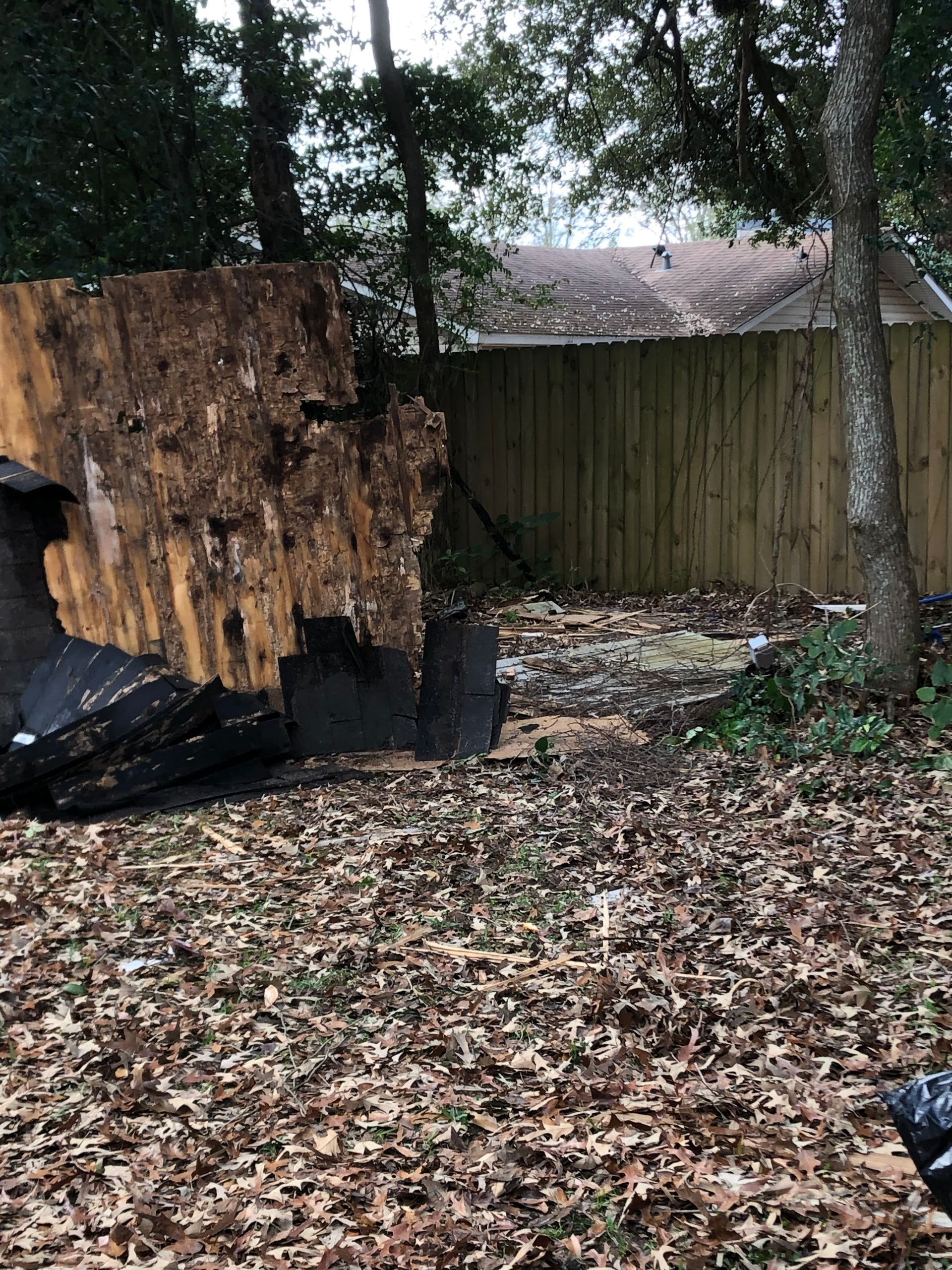 A broken wooden shed wall in a leaf-covered yard with trees and a fence in the background