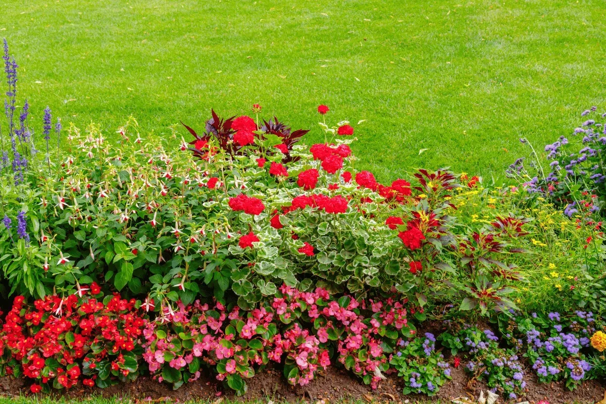 planting design and installation guide south jersey