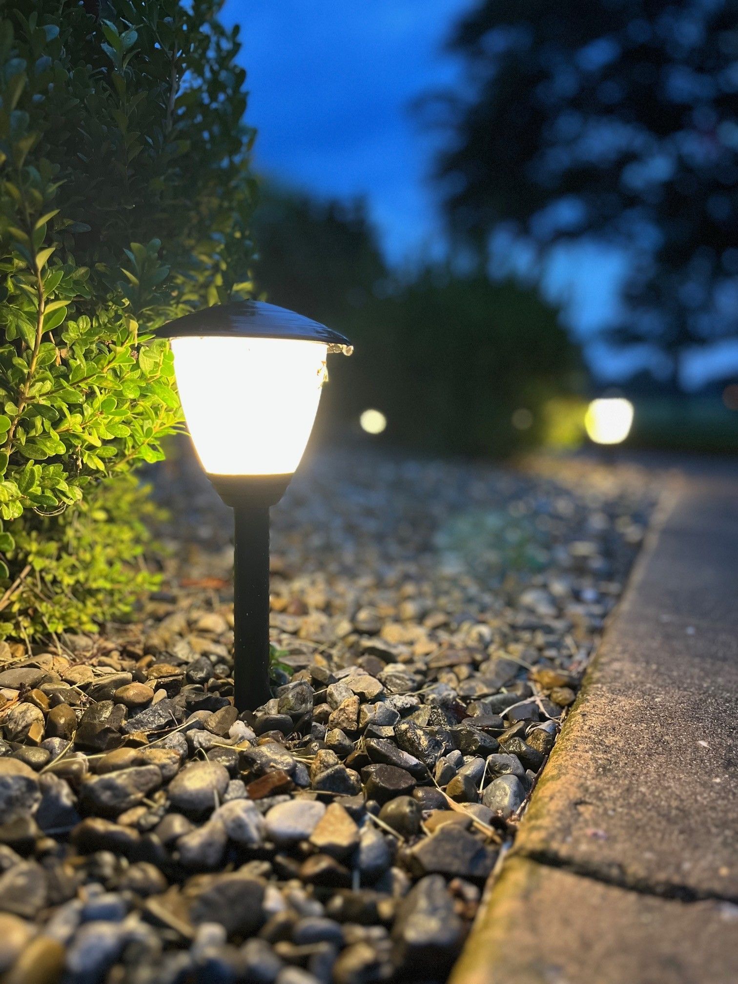 Glowing Solar Path Light
