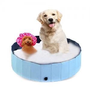 dog grooming