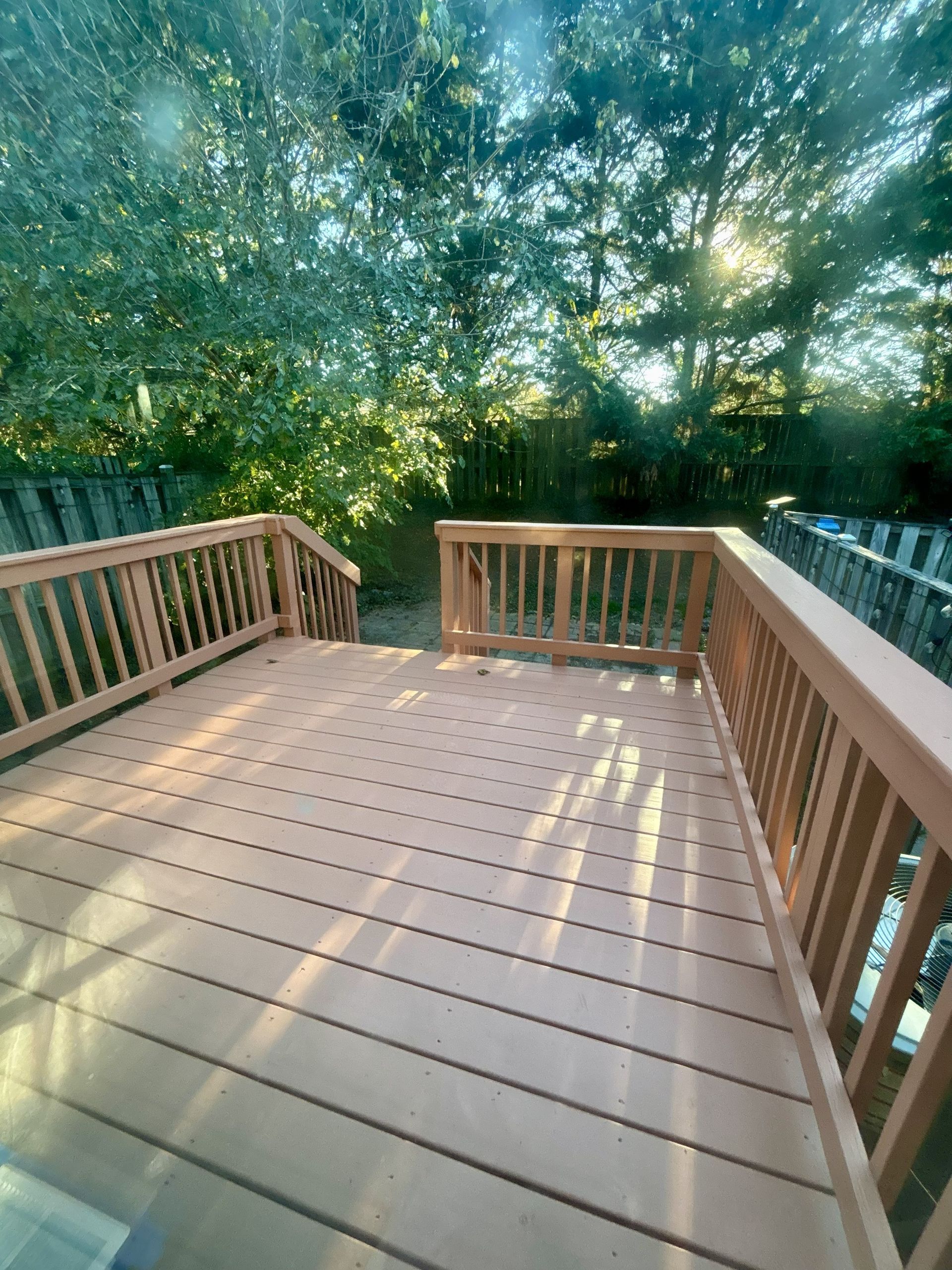 Wooden deck with railings overlooking dense green trees in warm sunlight