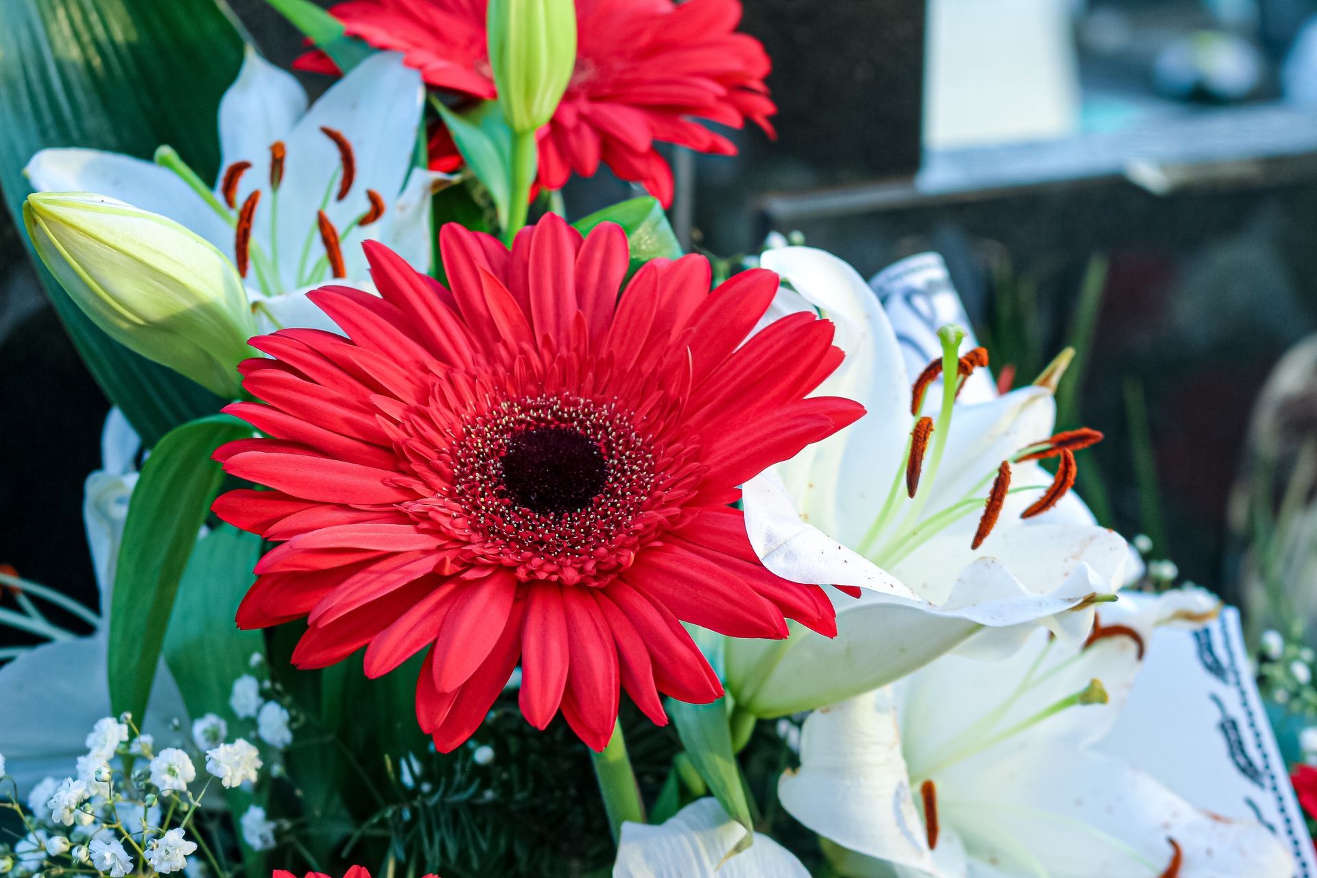 Red gerbera daisy and white lilies in a bouquet, close-up.