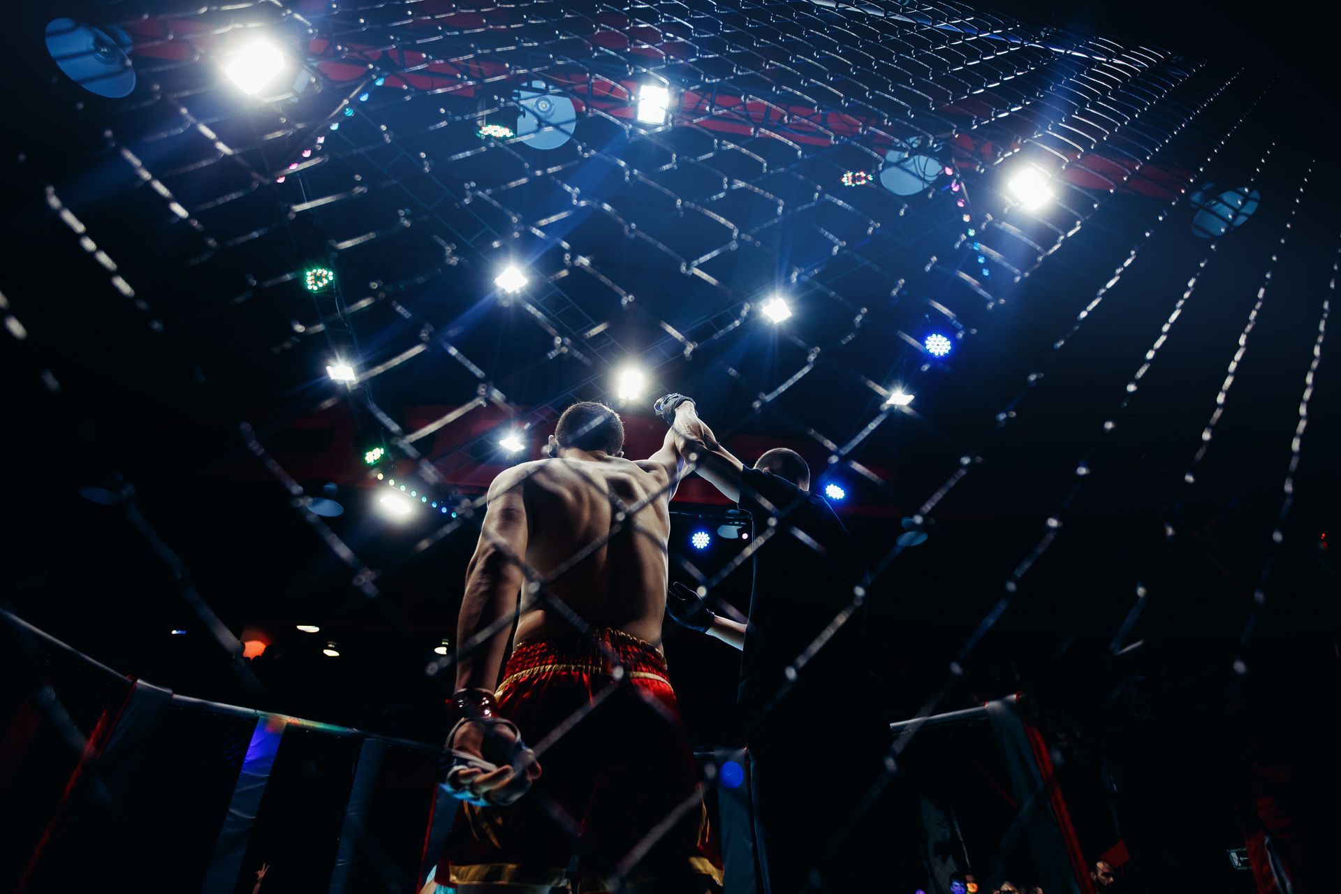 Boxing ring under bright spotlights, with a shirtless fighter seen from behind and blue arena lights overhead