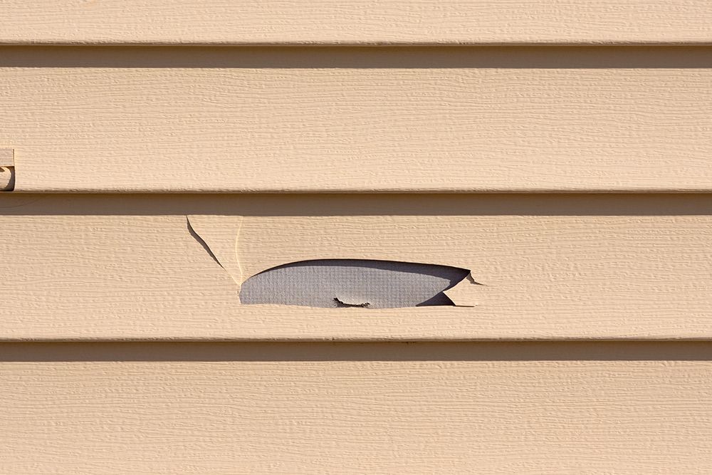 Damaged Siding Damaged Siding